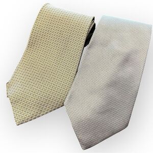 TWO Silk Ties Pierre Cardin Van Heusen Gold Silver Textured Elegant Classy